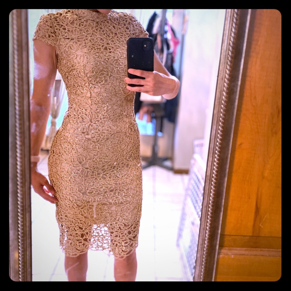 Rose Nude/Gold Sheath Dress